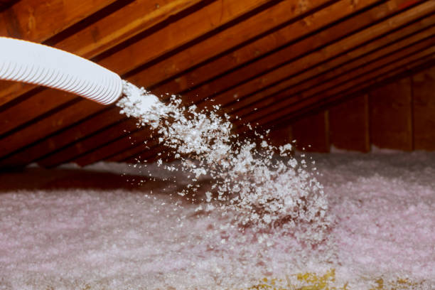 Best Insulation Replacement Services  in Hampstead, NC