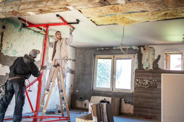 Best Insulation Removal Services  in Hampstead, NC