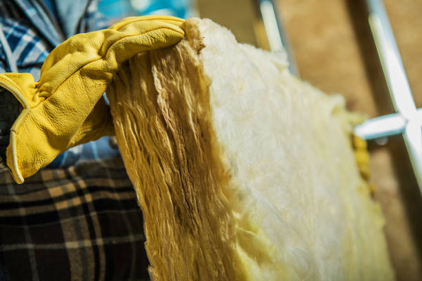 Best Residential Insulation Services  in Hampstead, NC