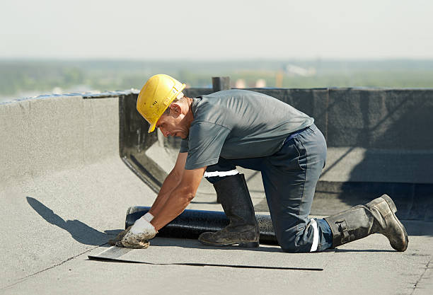 Best Home Insulation Services  in Hampstead, NC