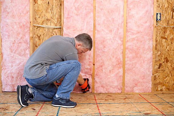 Best Insulation Contractors for Homes  in Hampstead, NC