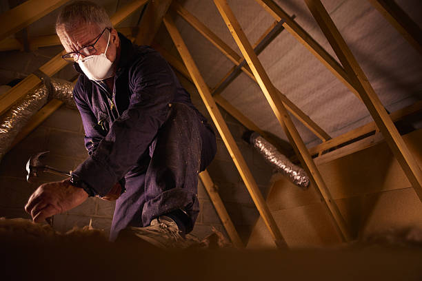 Best Garage Insulation Installation  in Hampstead, NC